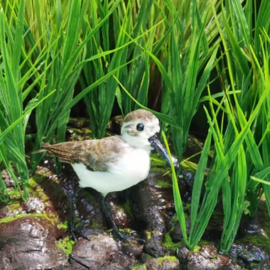 仿真勺鹬